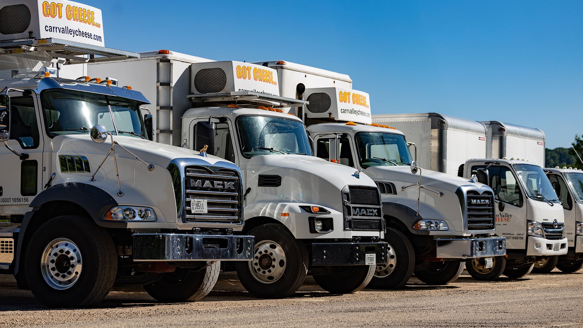 A row of white Carr Valley cheese-branded trucks