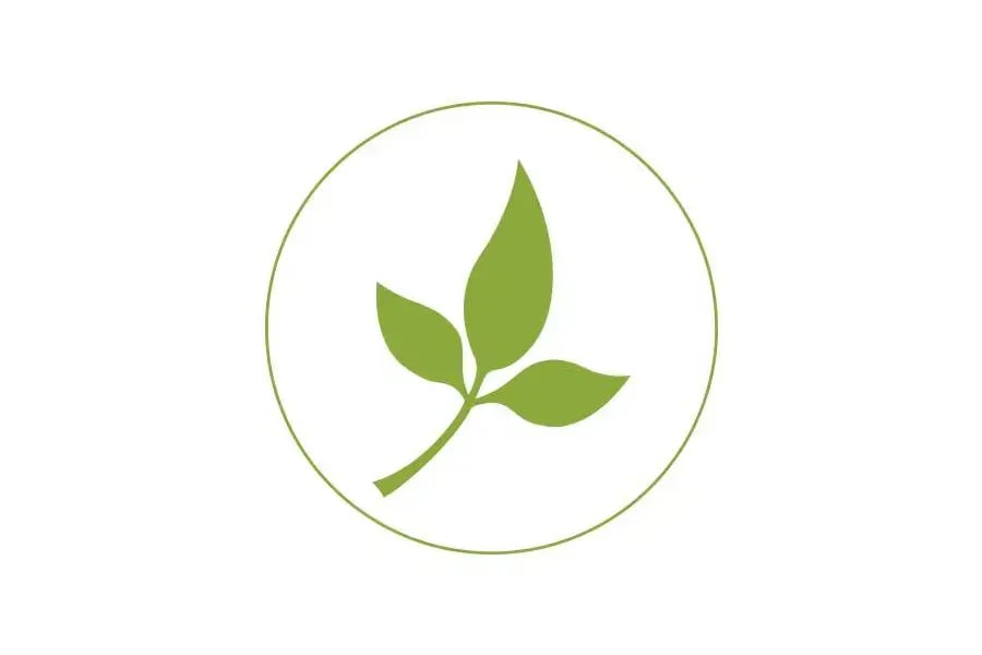 World of Grace logo