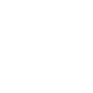 White calendar icon