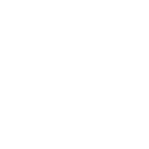 White dollar sign icon