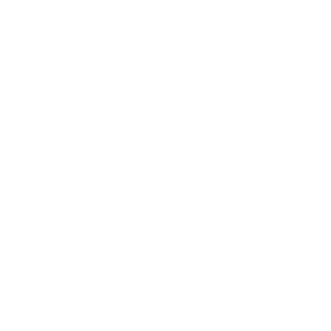White shirt icon