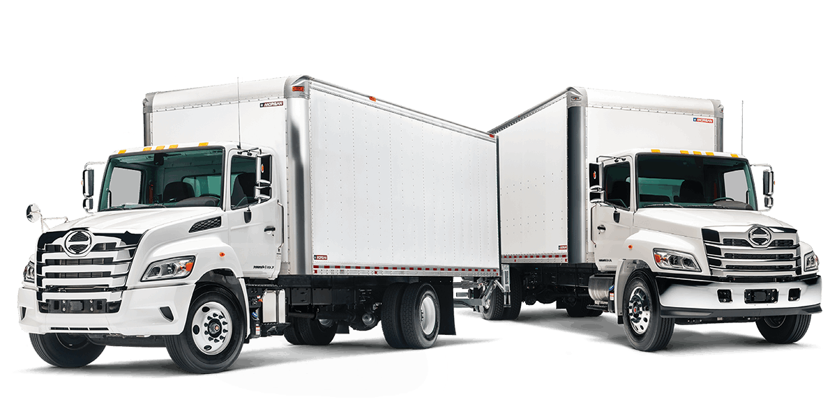 hino