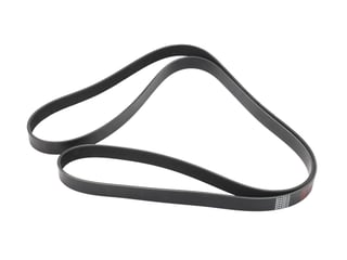 Main image of KAMP 8 Rib Belt for Select Freightliner Models