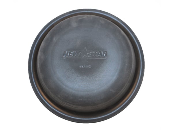Slide images of KAMP Type 24 Diaphragm