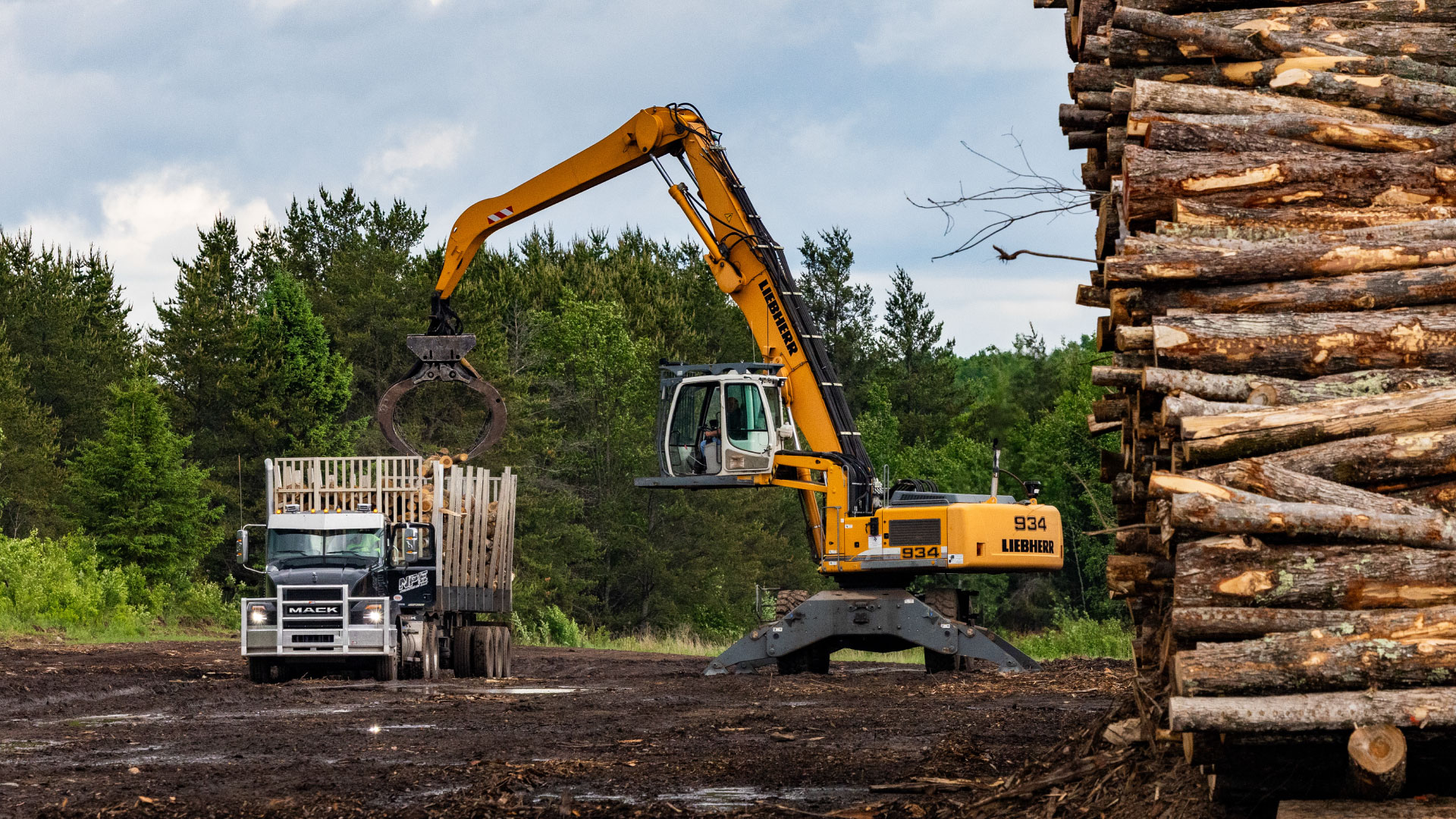 npe-trucking-no-text